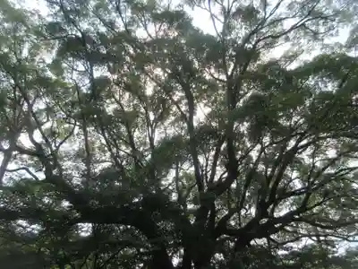 瀧山寺(愛知県)