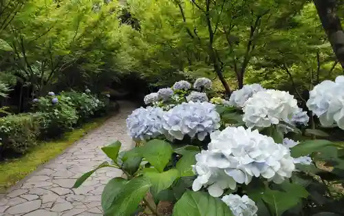 武雄神社の庭園