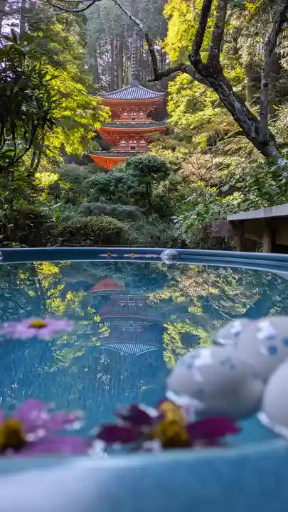 岩船寺(京都府)