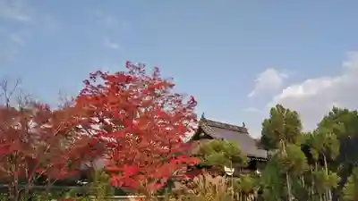 源光庵のその他建物