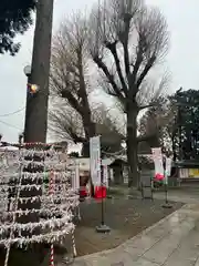 亀ケ池八幡宮(神奈川県)