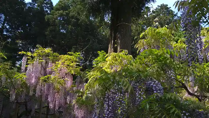 歌泉堂(春日大社神苑萬葉植物園内鎮座)(奈良県)