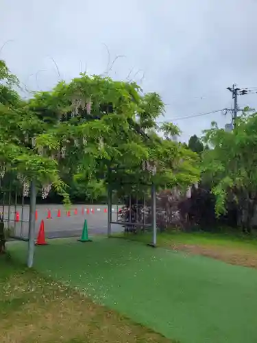 和気神社(鹿児島県)