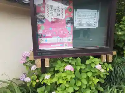 遍照院(東京都)