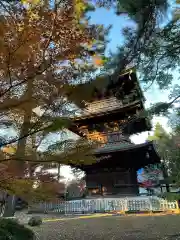 豪徳寺の建物その他