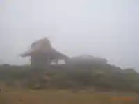 蔵王山神社(山形県)