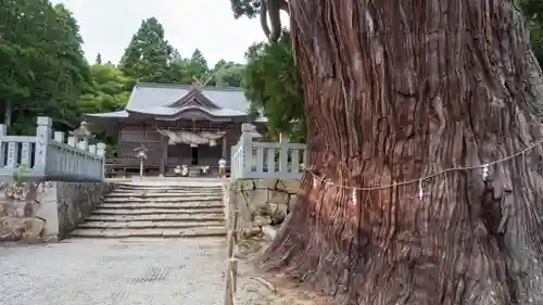 玉若酢命神社の自然