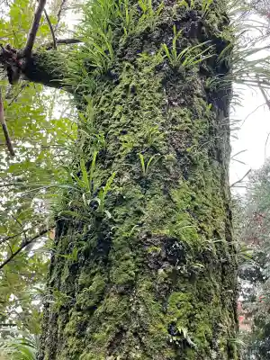 若宮神明社(愛知県)