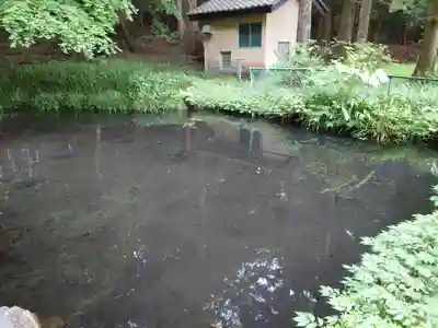 赤城神社(三夜沢町)(群馬県)