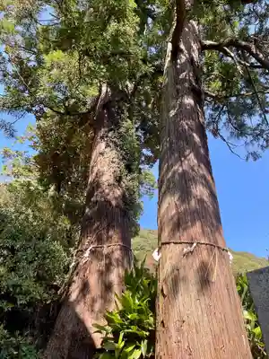 伊野天照皇大神宮(福岡県)