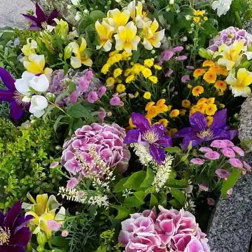 白鷺神社の手水舎