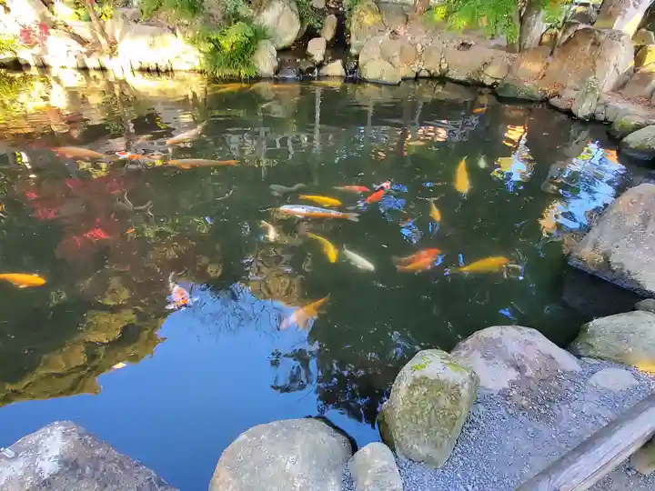 楽法寺(雨引観音)の動物