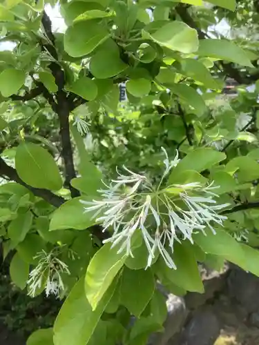 田縣神社の自然