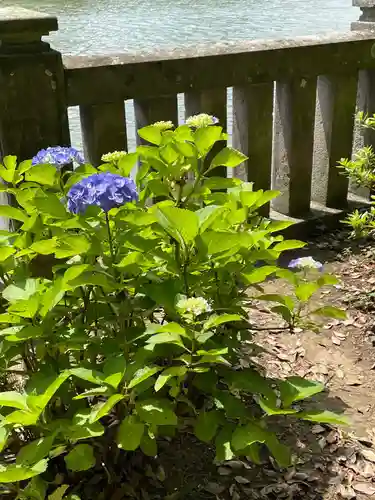 武蔵第六天神社の自然