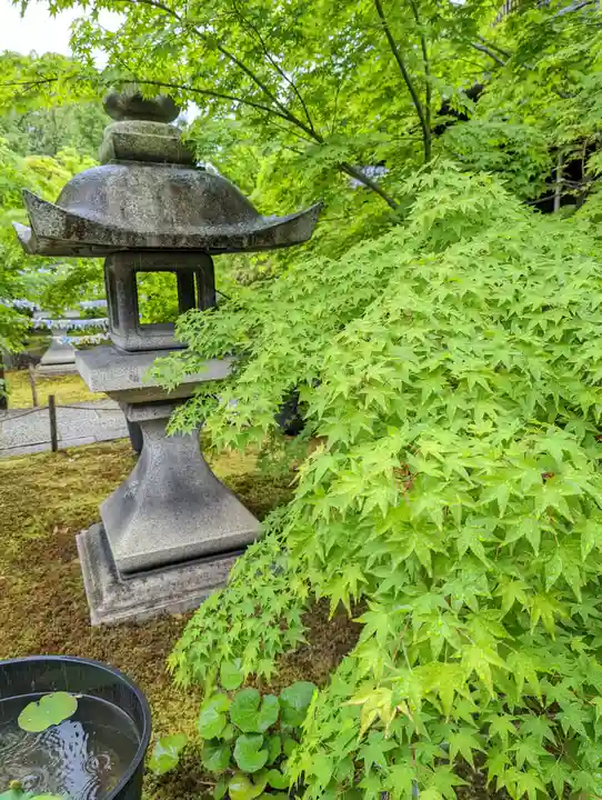 勝林寺(京都府)