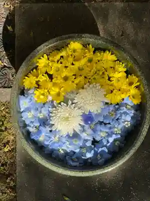 普賢寺の手水舎