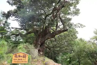 成相寺(京都府)