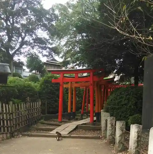 根津神社の鳥居