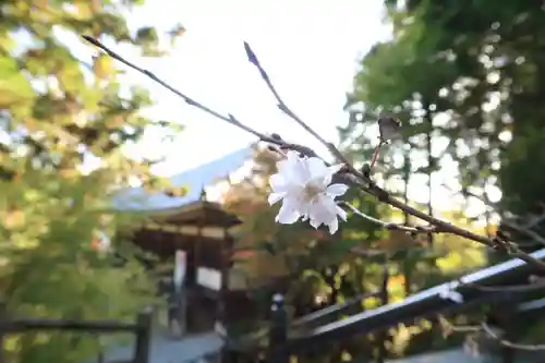播州清水寺の自然