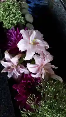 新琴似神社の手水舎