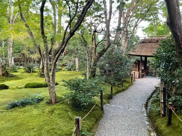 祇王寺(京都府)