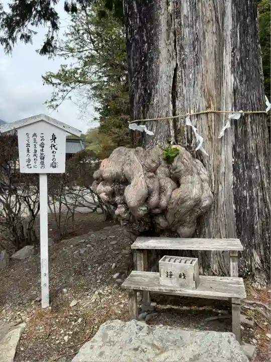 中禅寺(栃木県)