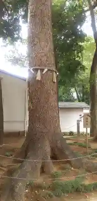 金ヶ作熊野神社(千葉県)
