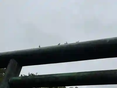 靖國神社(東京都)