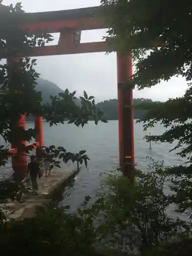 箱根神社の鳥居