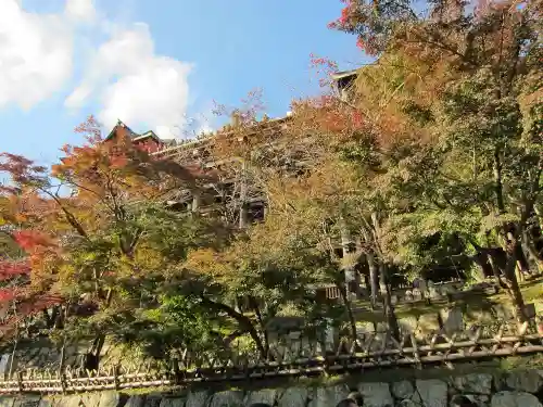 清水寺の自然