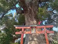 法楽寺(大阪府)