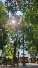 西堀 氷川神社の建物その他