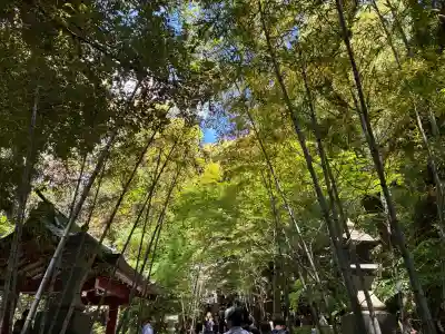 來宮神社の{uncategorized: "未分類", other: "その他", undefined: "問題あり", building: "その他建物", grave: "お墓", sacred_gate: "鳥居", guardian: "狛犬", statue: "像", buddha: "仏像", history: "歴史", nature: "自然", garden: "庭園", animal: "動物", pagoda: "塔", temizu: "手水舎", mountain_gate: "山門・神門", sanctuary: "本殿・本堂", subordinate: "末社・摂社", art: "芸術", scenery: "景色", jizo: "地蔵", ema: "絵馬", goshuin: "御朱印", omikuji: "おみくじ", items: "授与品その他", amulet: "お守り", goshuincho: "御朱印帳", eats: "食事", festival: "お祭り", votive_dance: "神楽", shichigosan: "七五三参", wedding: "結婚式", experience: "体験その他", initially: "初詣", around: "周辺", anti_infection: "感染症対策"}