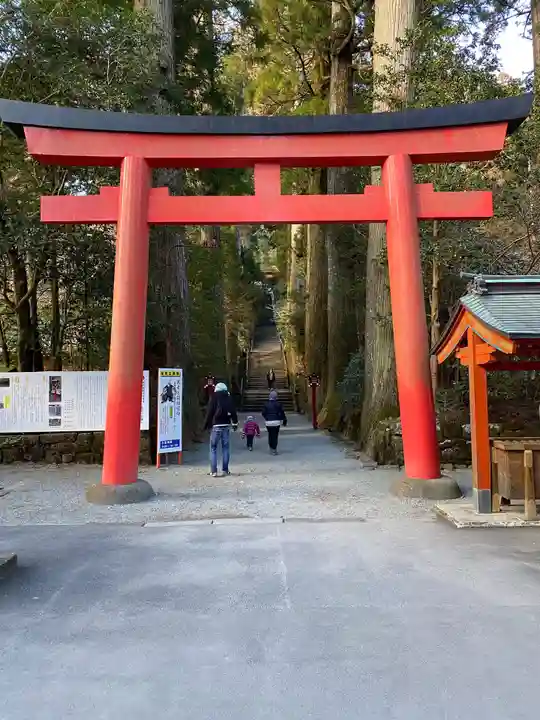 箱根神社の鳥居