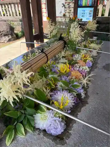 大前神社(栃木県)