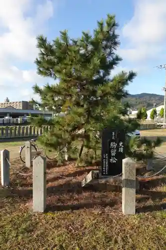伊勢久留麻神社の自然