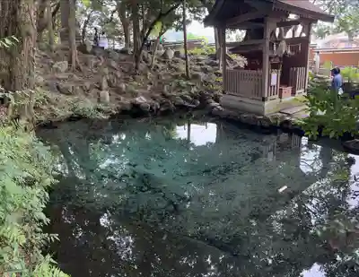 泉神社(茨城県)