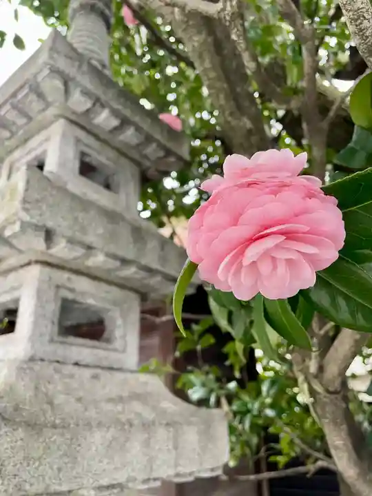仙龍寺(東京都)