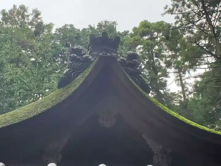 菌神社の本殿・本堂