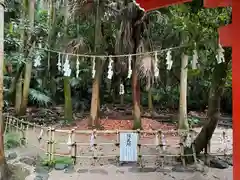 青島神社（青島神宮）(宮崎県)