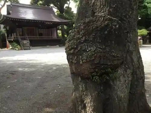 七社神社の自然