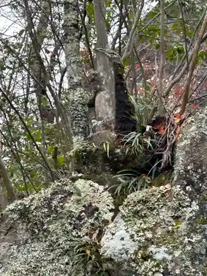 長安寺 岩井堂観音(長野県)