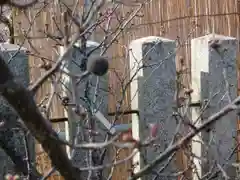 菅原天満宮（菅原神社）の自然