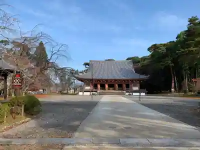 醍醐寺の本殿・本堂
