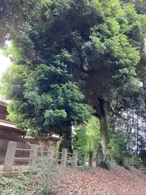 鶴峯八幡宮(茨城県)