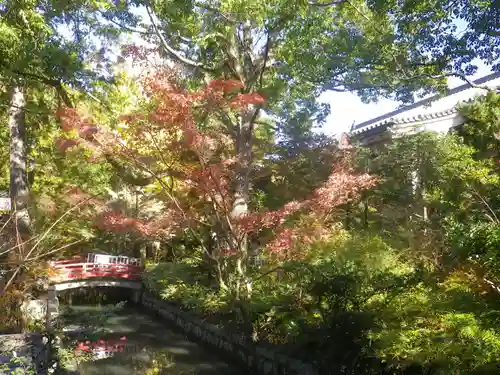 鶴岡八幡宮の庭園