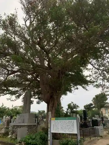 釈迦寺のその他建物