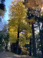 国上寺(新潟県)