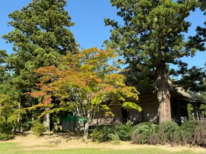 毛越寺(岩手県)