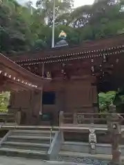 青龍寺(高知県)